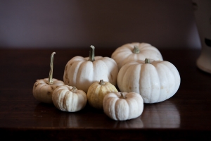 Winter autumn wedding venues exeter