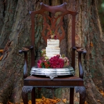 Winter wedding cake exeter
