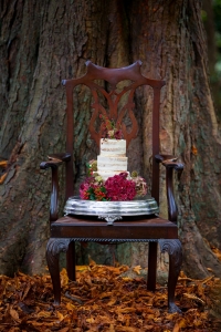 Winter wedding cake exeter