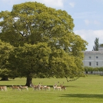 Spring wedding theme devon bridwell park