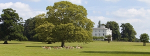 Spring wedding theme devon bridwell park