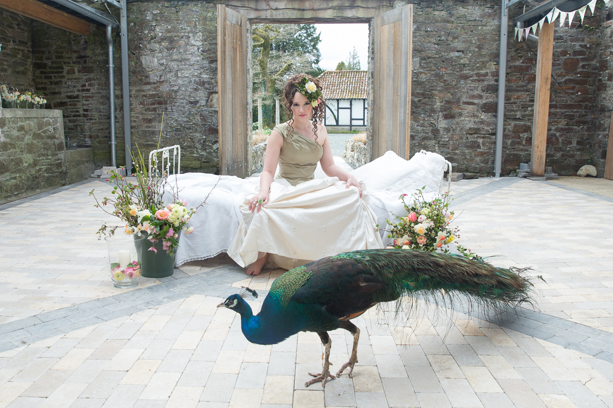 Dartmoor wedding venue