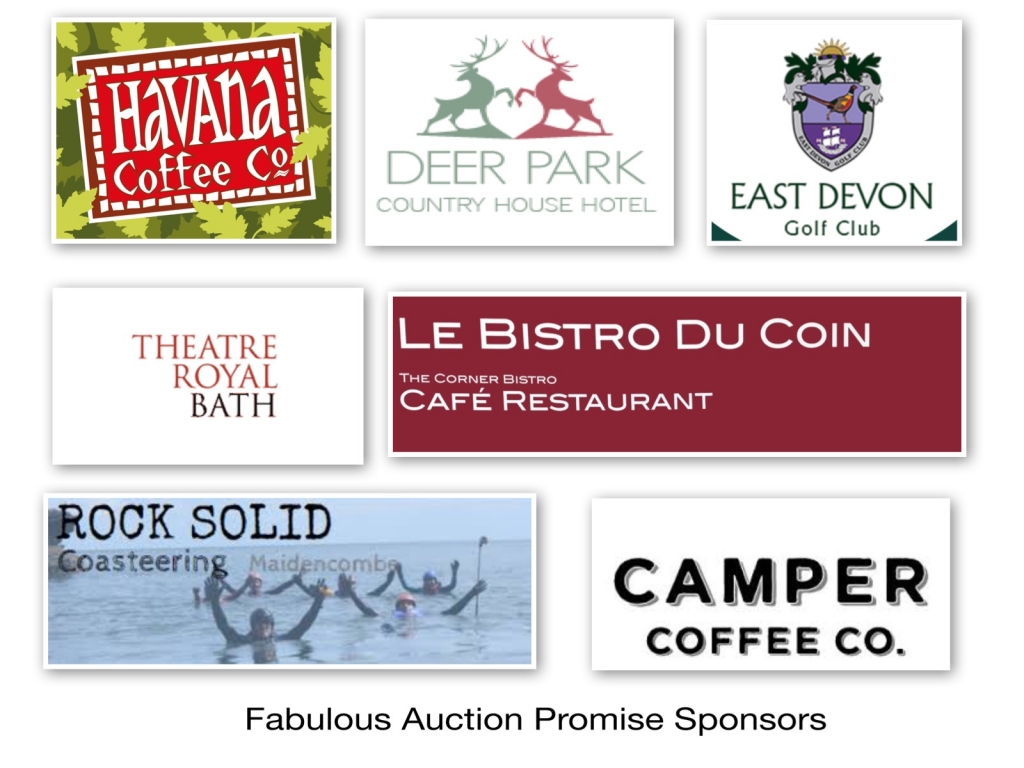 auction sponsors